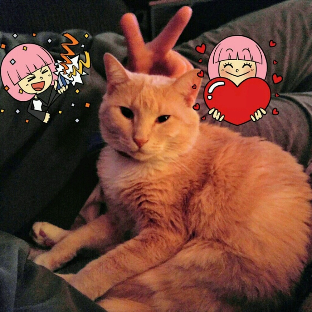 Meet your Posher, Melissa